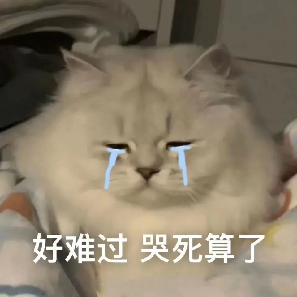 “慢热”女M的三年 “慢热”女M的三年