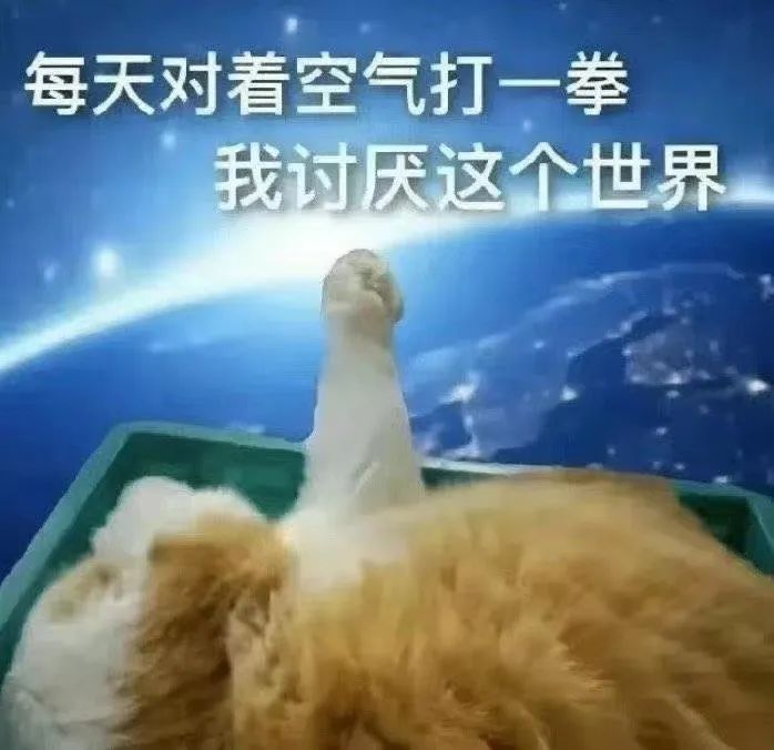 “鲨我别用小黄刀QAQ” “鲨我别用小黄刀QAQ”