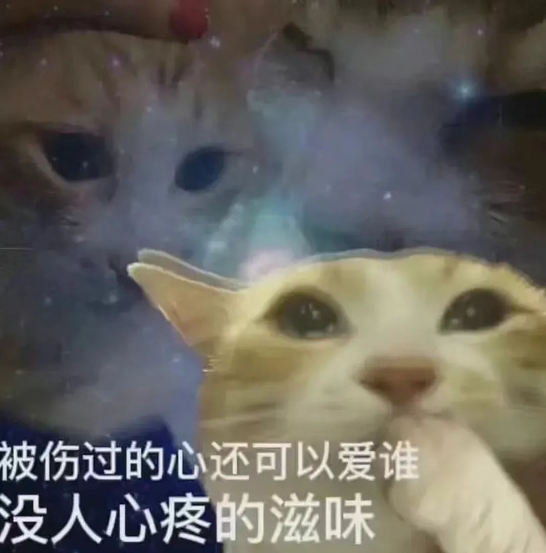 “慢热”女M的三年 “慢热”女M的三年