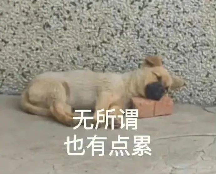 “慢热”女M的三年 “慢热”女M的三年