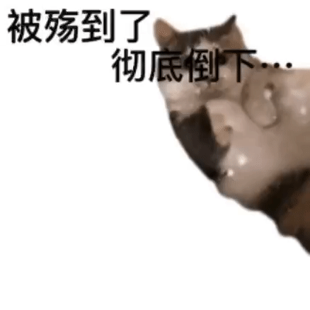 “鲨我别用小黄刀QAQ” “鲨我别用小黄刀QAQ”