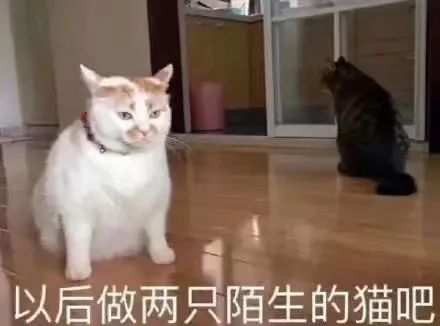 思慕圈比分离更痛苦的,是“分离前奏期” 思慕圈比分离更痛苦的,是“分离前奏期”