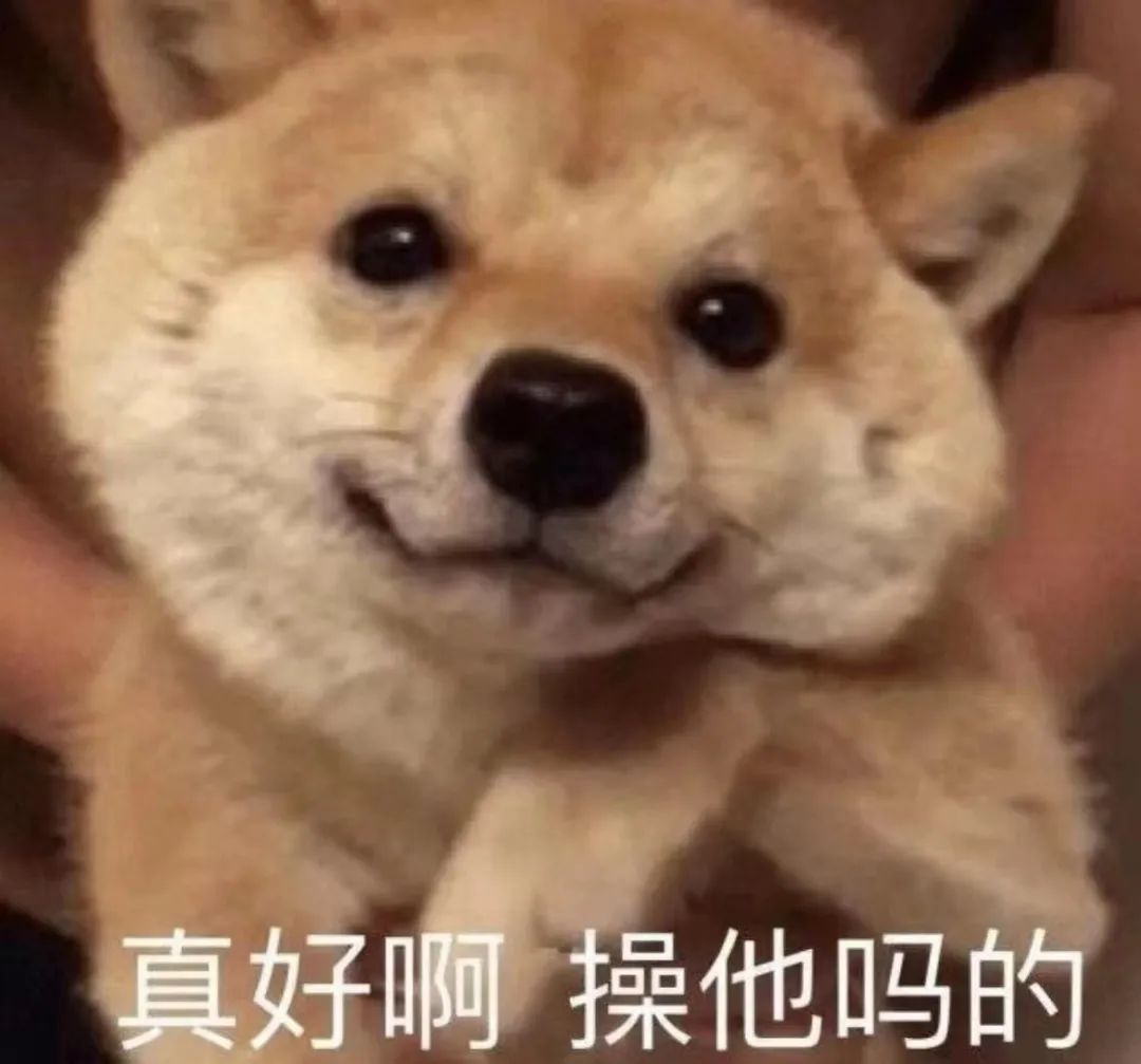 “鲨我别用小黄刀QAQ” “鲨我别用小黄刀QAQ”