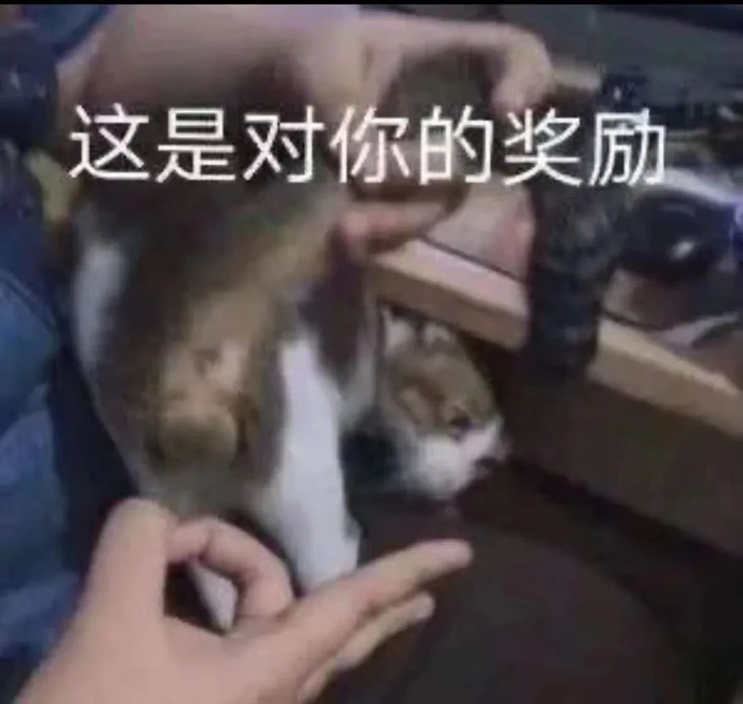 社恐人士思慕圈实践指南 社恐人士思慕圈实践指南