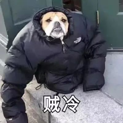 社恐人士思慕圈实践指南 社恐人士思慕圈实践指南