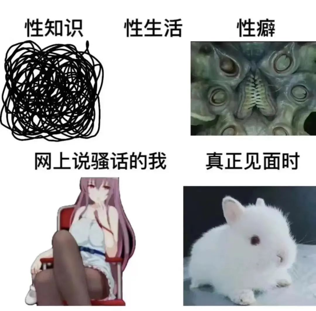 社恐人士思慕圈实践指南 社恐人士思慕圈实践指南