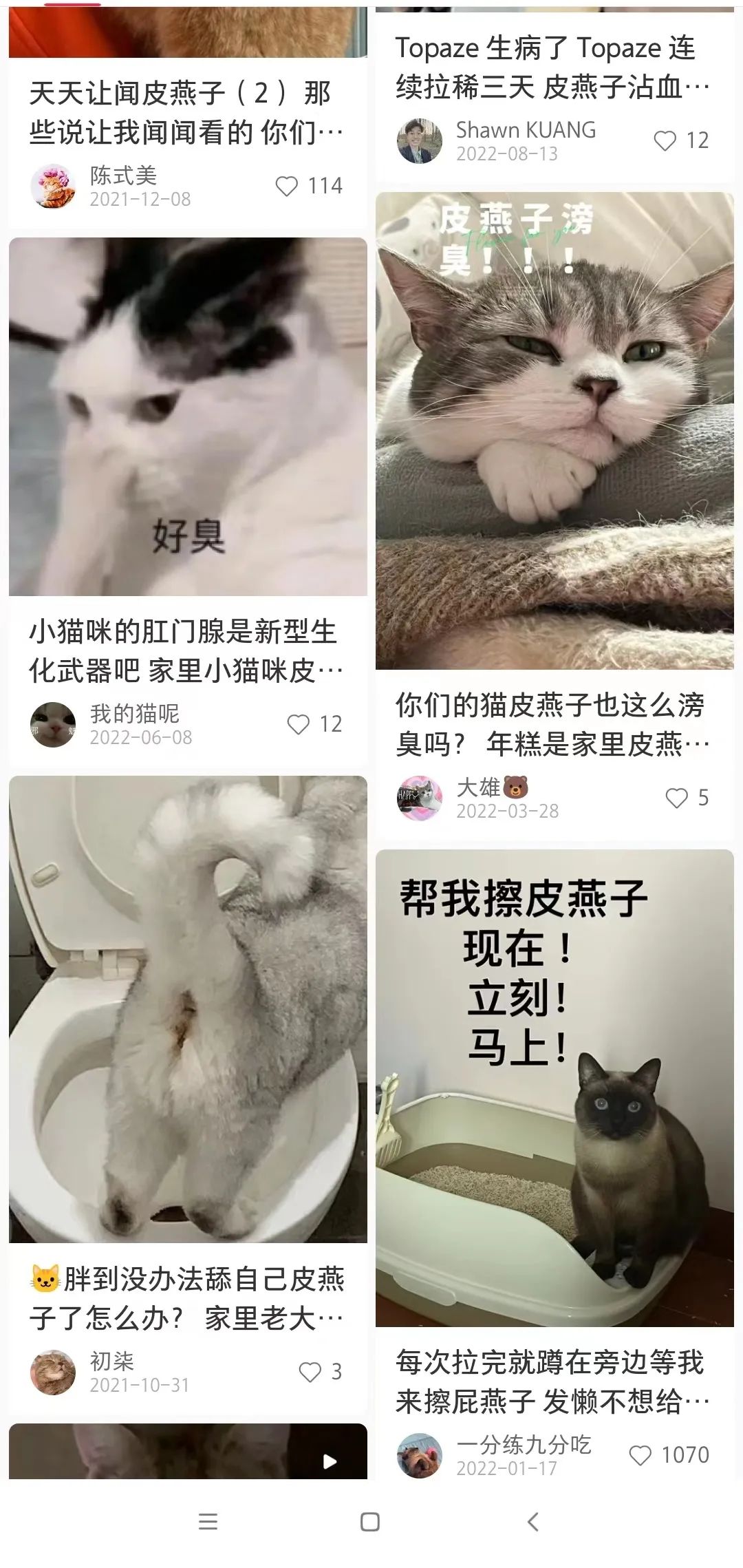 懂的答：那啥，皮燕子不会滂臭吗？-12