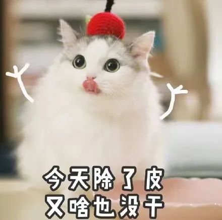 关于brat挨训的几个特点-5