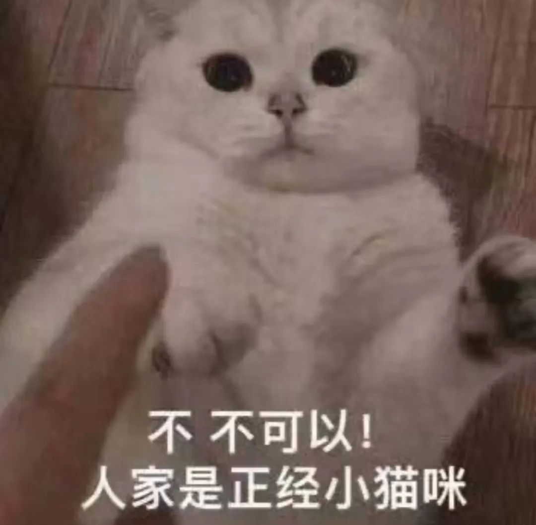 字母斯慕圈一边DIY一边观察心率还挺有意思的 字母斯慕圈一边DIY一边观察心率还挺有意思的