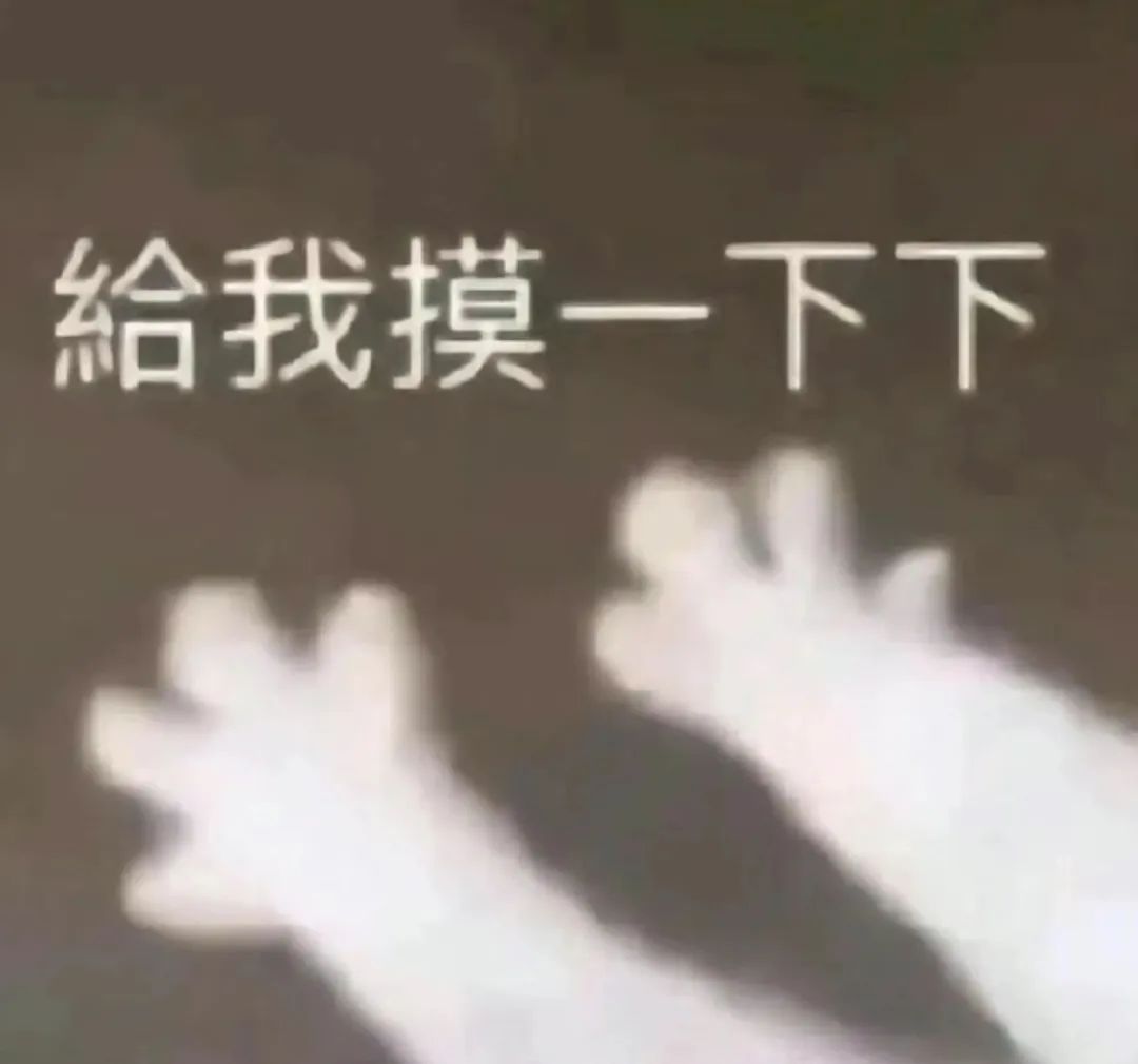字母斯慕圈一边DIY一边观察心率还挺有意思的 字母斯慕圈一边DIY一边观察心率还挺有意思的