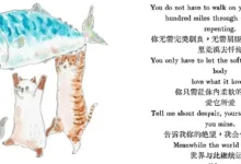 daddy和小猫日常篇：焦糖布丁-斯慕社交